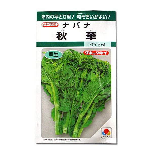 野菜の種 種子 秋華 ナバナ なばな 菜花 6ml メール便発送 タキイ種苗 Vg ベジタブルガーデン ハラダ 通販 Yahoo ショッピング