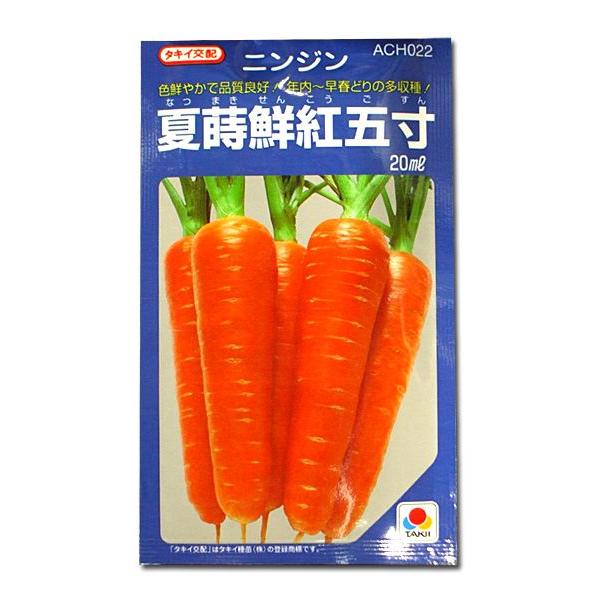 ؂̎/q ĎNgܐEjW 20mli[֔j^LCc