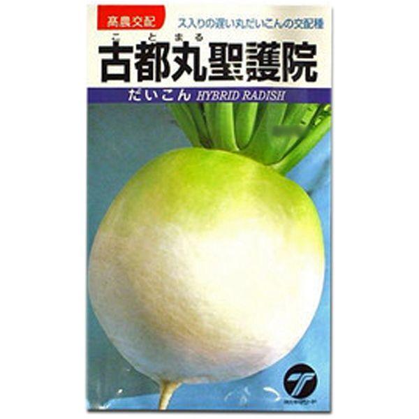野菜の種/種子　古都丸聖護院・だいこん　8ml　（メール便発送）