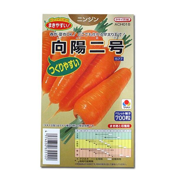 野菜の種/種子 向陽二号・ニンジン 700粒（メール便発送）タキイ種苗