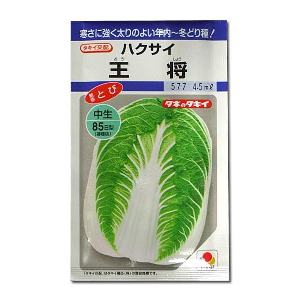 ؂̎/q EnNTC 4.0mli[֔j^LCc