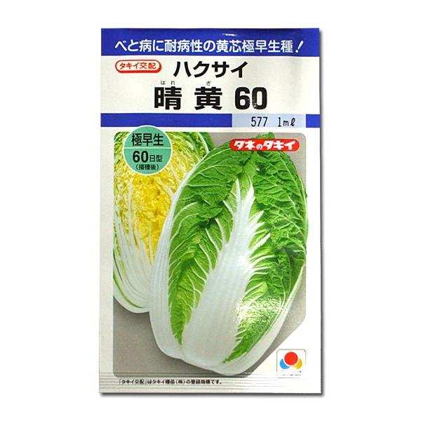 ؂̎/q 60EnNTC 0.9mli[֔j^LCc