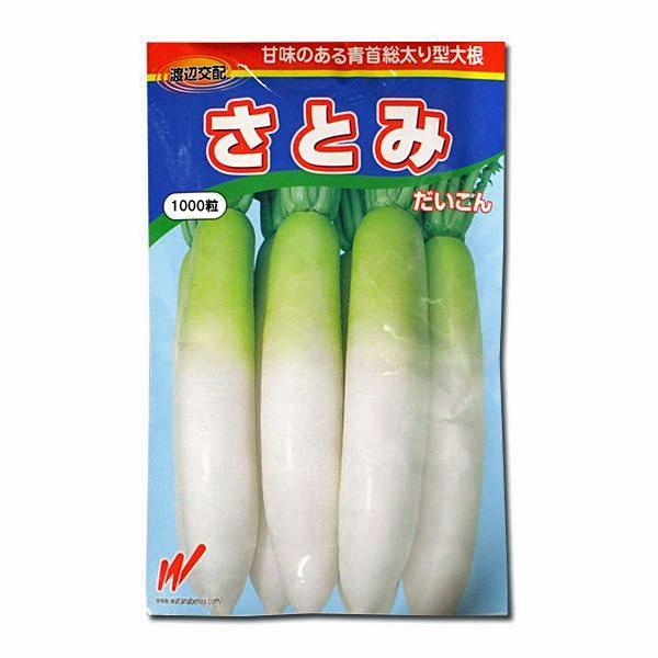 野菜の種/種子 さとみ・だいこん 大根 ダイコン 1,000粒 （メール便