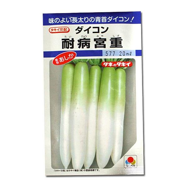 ؂̎/q ϕa{dEE 18mli[֔j^LCc