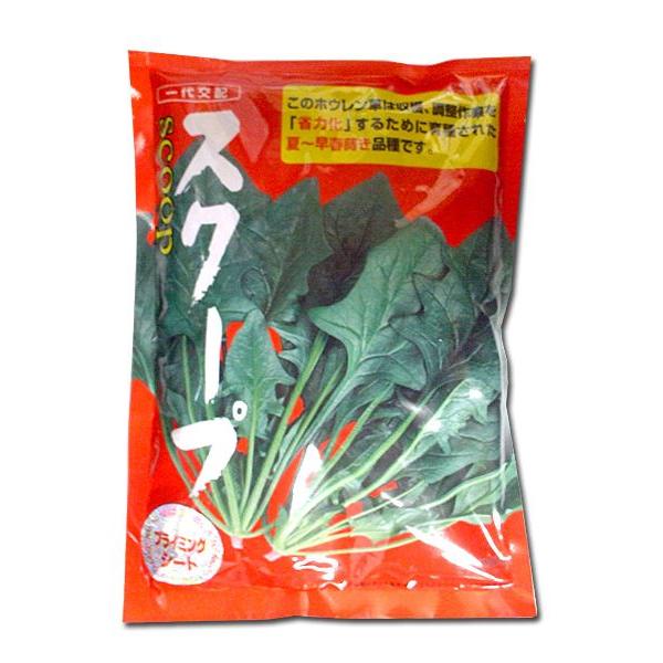 野菜の種/種子　スクープ・ほうれんそう　3万粒  (大袋)
