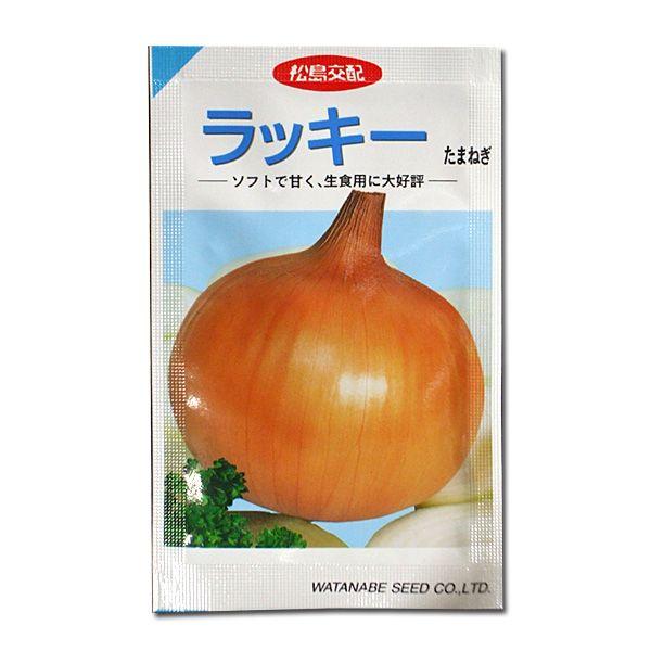 ؂̎/q@bL[E^}lM@ʂ˂@ʔK@20ml@i[֔jnӍ̎