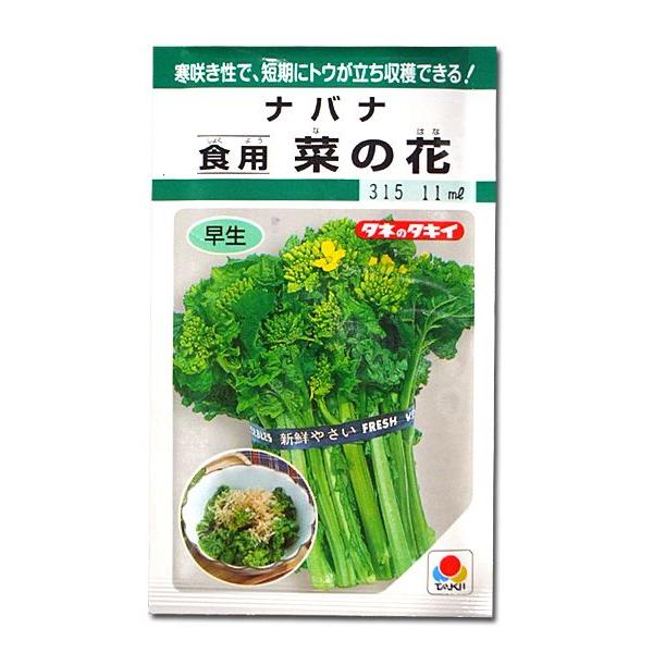 野菜の種 種子 食用 菜の花 ナバナ 菜花 5ml メール便発送 タキイ種苗 Vg ベジタブルガーデン ハラダ 通販 Yahoo ショッピング