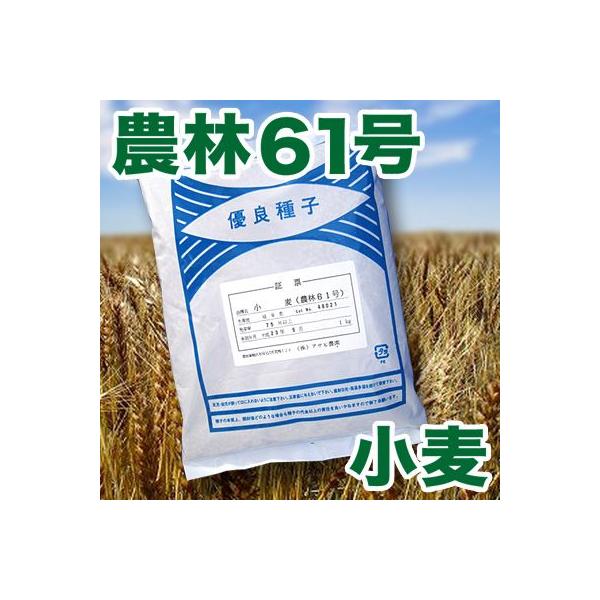 野菜の種 種子 小麦 農林61号 1kg Buyee Buyee Japanese Proxy Service Buy From Japan Bot Online