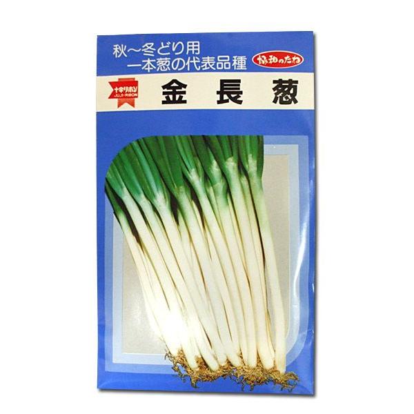 ؂̎/q@RKE˂ lM@20ml@i[֔j