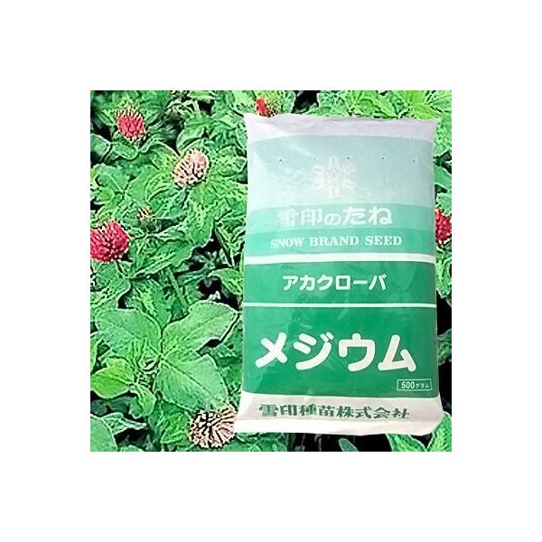 ԃN[o WE 500g@Δ//q앨/