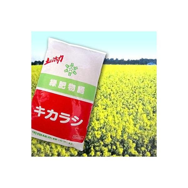 発芽・初期生育が旺盛なアブラナ科緑肥です。黄色の花を一面に咲かせ、景観緑肥として最適です。春播きでは播種後50〜60日で開花します。播種期：寒・高冷地の春播き4月上旬〜5月中旬/一般地の春播き3月上旬〜3月下旬、秋播き11月上旬〜11月下旬...