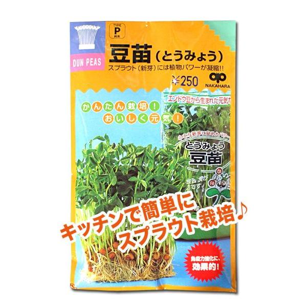 唐箕 種の人気商品 通販 価格比較 価格 Com