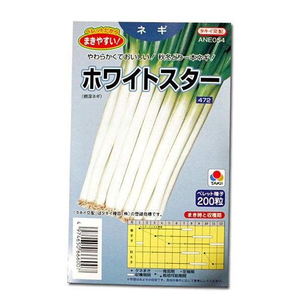 野菜の種/種子 ホワイトスター 根深ねぎ 　ペレット種子　200粒（メール便発送）タキイ種苗