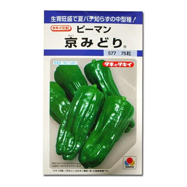 野菜の種/種子 京みどり・ピーマン 65粒（メール便発送）タキイ種苗