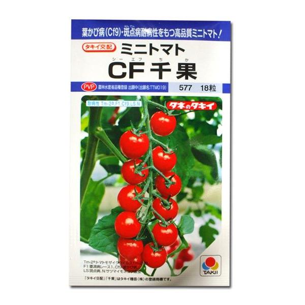 ؂̎/q CFʁE~jg}g 16i[֔j^LCc