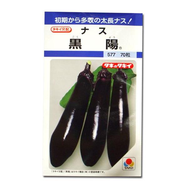 ؂̎/q zEiX Ȃ 60i[֔j^LCc