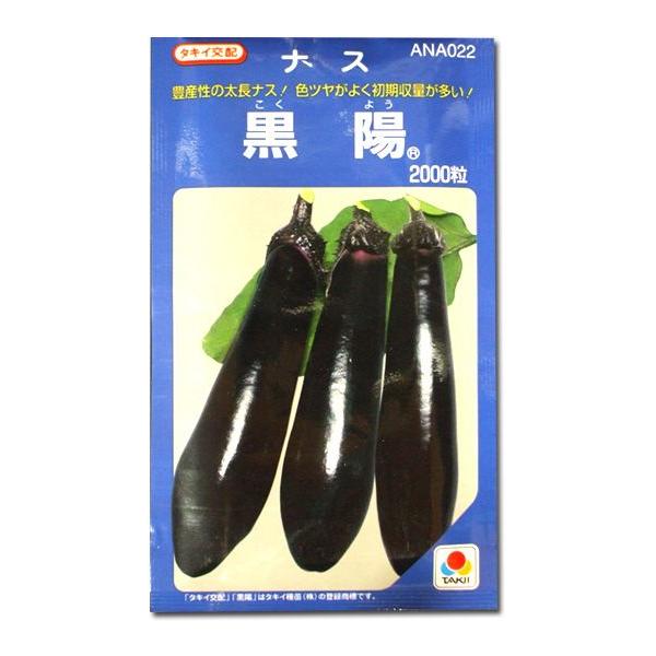 ؂̎/q zEiX Ȃ 2000i[֔/܁j^LCc