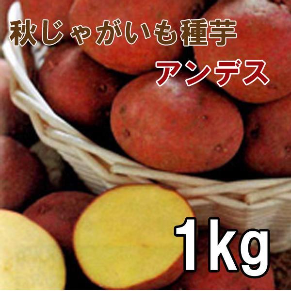 野菜 種 苗 春植えジャガイモ種芋 アンデス 秋植えじゃがいも種芋 生もの種 量り売り1kg Buyee Buyee Japanese Proxy Service Buy From Japan Bot Online