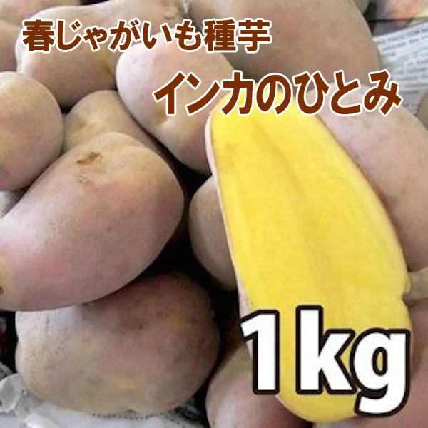 野菜 種 苗 春植えジャガイモ種芋 北海道産 インカのひとみ じゃがいも種芋 生もの種 量り売り1kg 12月中旬頃発送 Vg ベジタブルガーデン ハラダ 通販 Yahoo ショッピング
