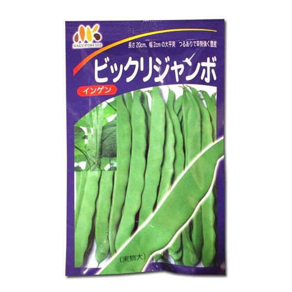 いんげん10 キろ Amazon.co.jp: [冷凍] ライフフーズ いんげん M 500gX2袋 : 食品