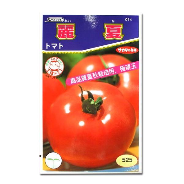 ؂̎/q āEg}g 21i[֔jTJ^̃^l c