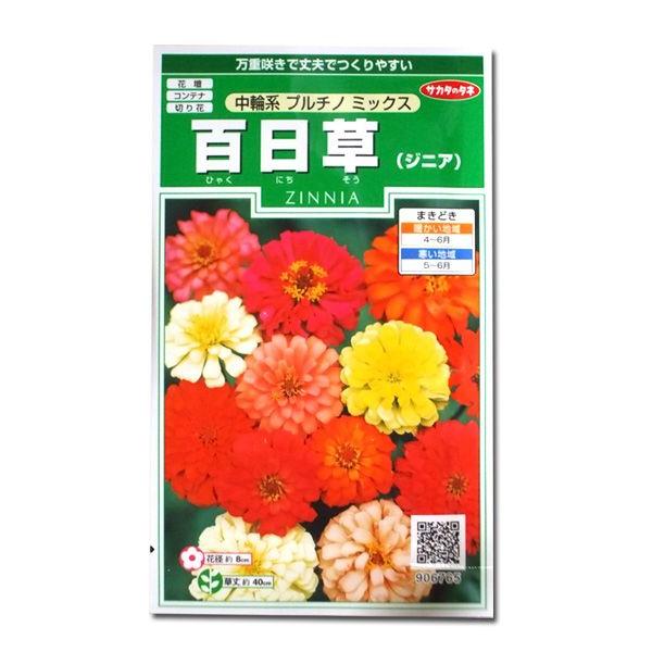 Ԃ̎@S/WjAm֌n v`m ~bNXn@2mli[֔j