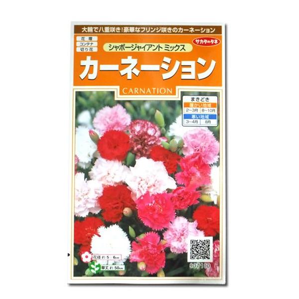 花の種　カーネーション［シャボージャイアント ミックス］ 0.3ml（メール便発送）