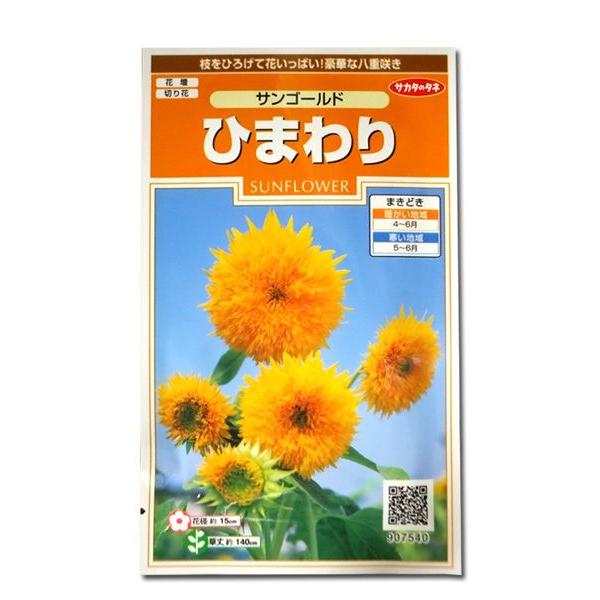 ひまわりです。プロテサンゴールド50包　バラ売り　プロテサン 花の種 ひまわり［サンゴールド］ 2ml（メール便発送） : ベジタブル