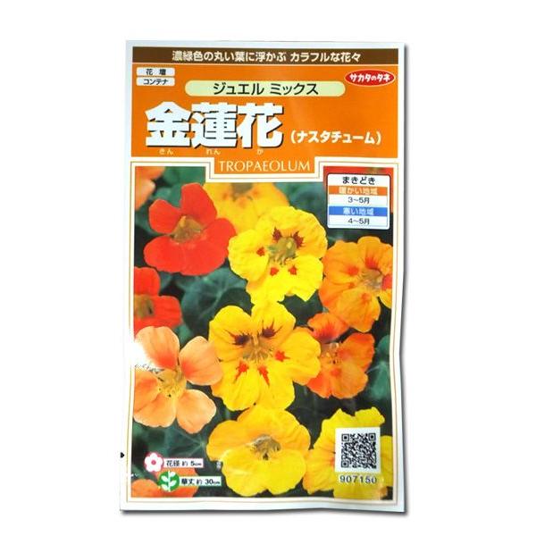 Ԃ̎@@/iX^`[mWG ~bNXn@5mli[֔j