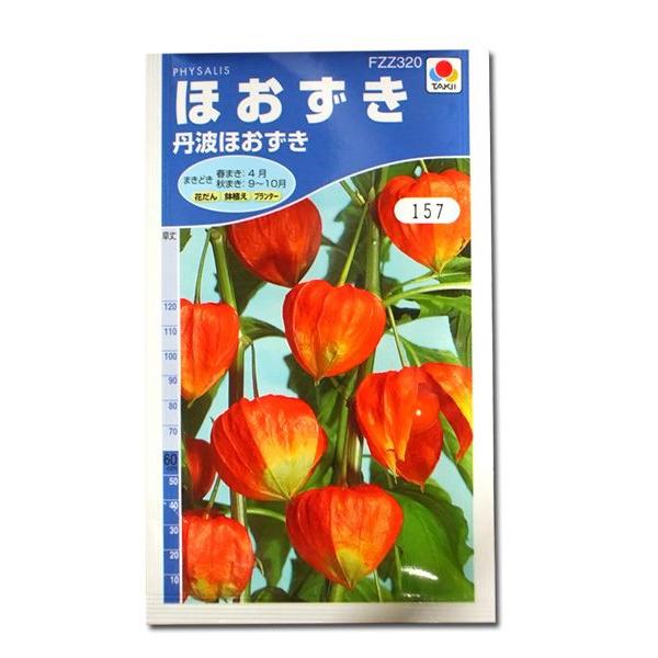 花の種 ほおずき 丹波ほおずき 0 8ml メール便発送 Vg001 ベジタブルガーデン ハラダ 通販 Yahoo ショッピング