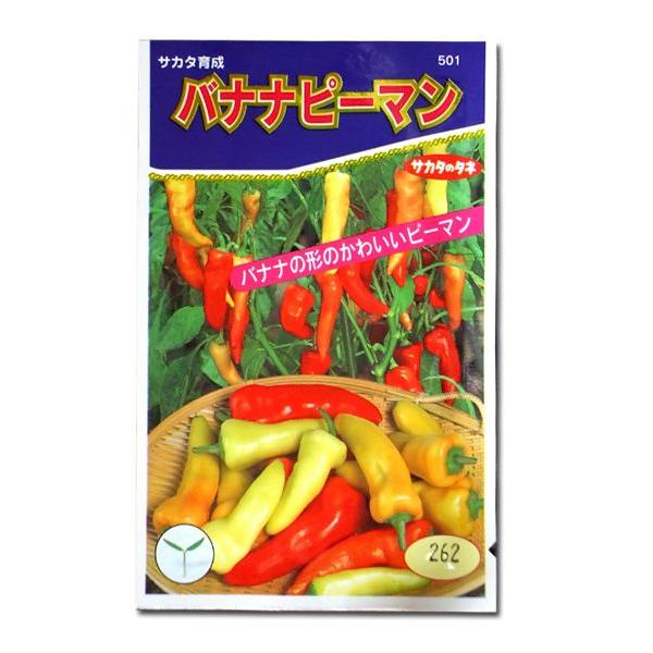 野菜の種 種子 バナナピーマン 2ml メール便発送 サカタのタネ 種苗 Vg ベジタブルガーデン ハラダ 通販 Yahoo ショッピング