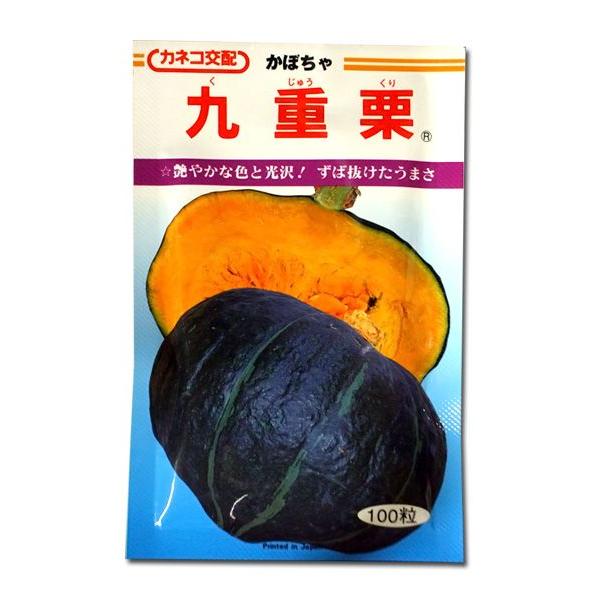 ؂̎/q@dIEJ{` ڂ@100@i[֔/܁jy2025N1{\z