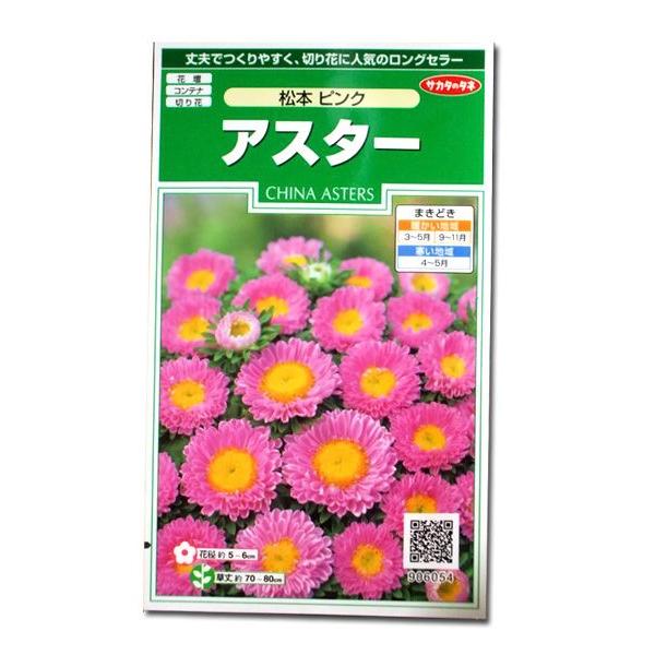 花の種 アスター［松本 ピンク］ 1ml（メール便発送） : ベジタブル