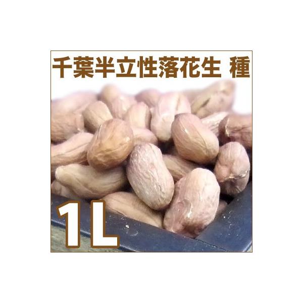 種 落花生の人気商品 通販 価格比較 価格 Com