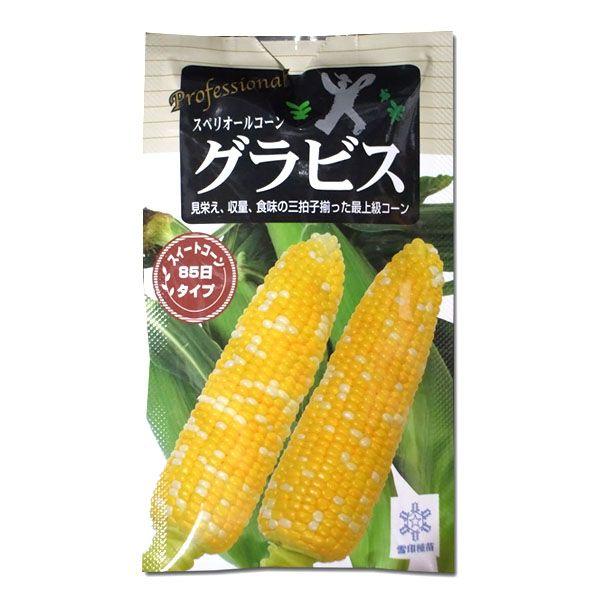 ؂̎/q@XyI[R[ OrXEƂ낱@200@i[֔jcy2026N1{蔭z