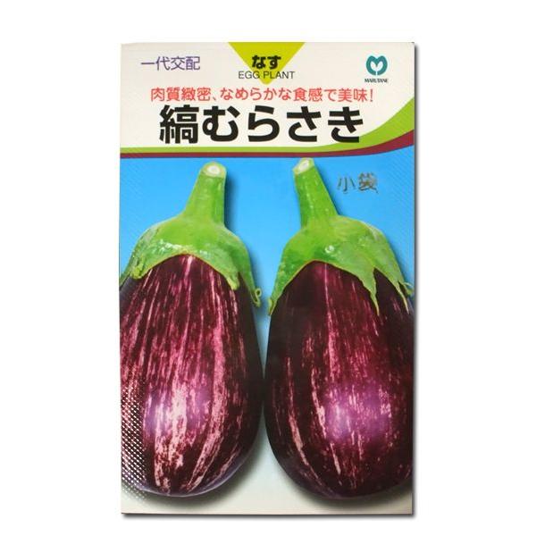 野菜の種/種子　縞むらさき・ナス　9粒　（メール便発送）