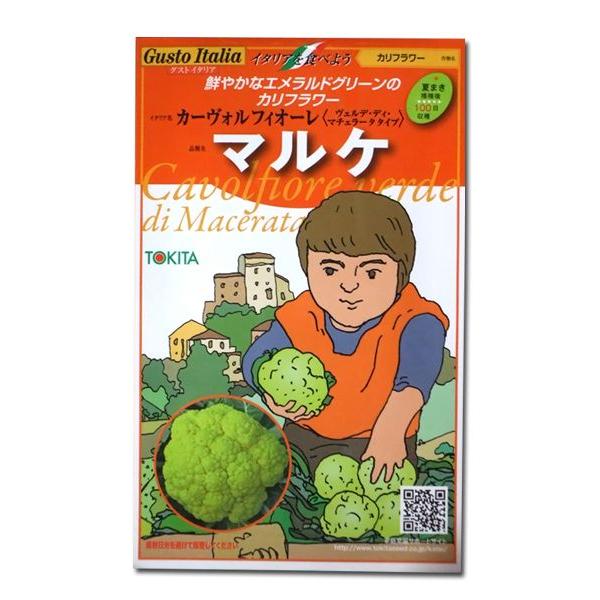 野菜の種/種子 カーヴォルフフィオーレ マルケ・カリフラワー