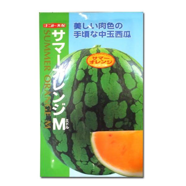 野菜の種/種子 サマーオレンジ M・スイカ 7粒 （メール便発送