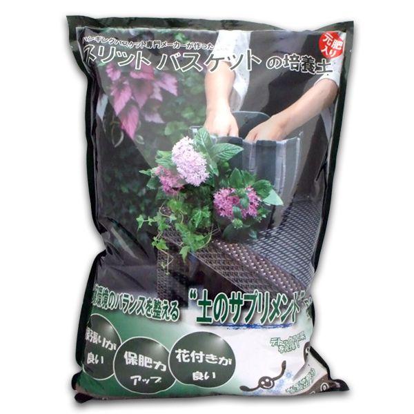 XbgoXPbg̔|{yij5L@|pi