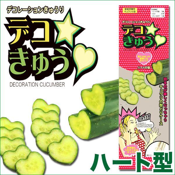 fRイiƒ؉pLĚ^jn[g^@K[fjOEG