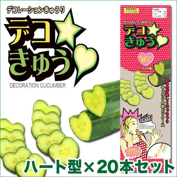 fRイiƒ؉pLĚ^jn[g^×20{Zbg@K[fjOEG