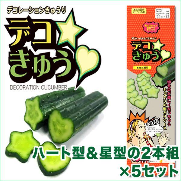 fRイiƒ؉pLĚ^jn[g^Ɛ^2{g×5Zbg@K[fjOEG