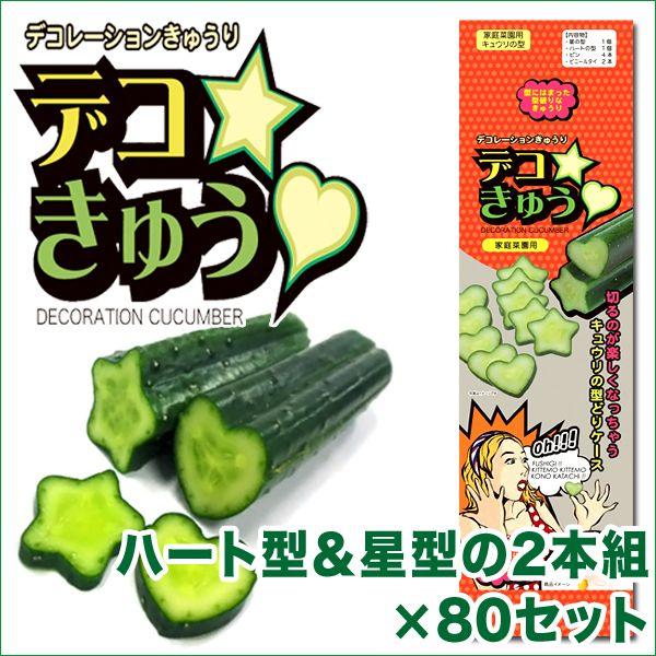 fRイiƒ؉pLĚ^jn[g^Ɛ^2{g×80Zbg@K[fjOEG