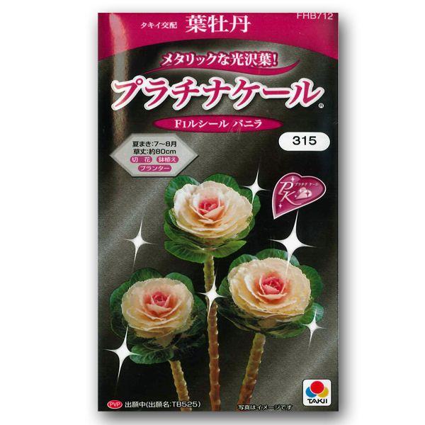 Ԃ̎@tO@v`iP[@F1V[@oj@15i[֔j