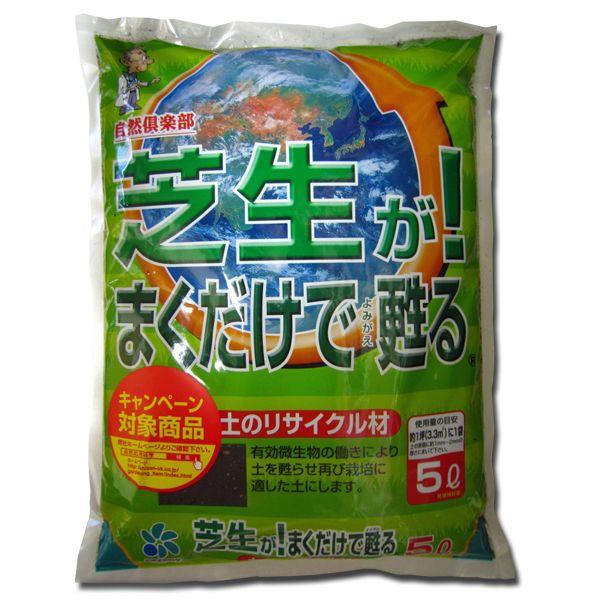 ỹTCN ŐI܂S 5bg@|pi