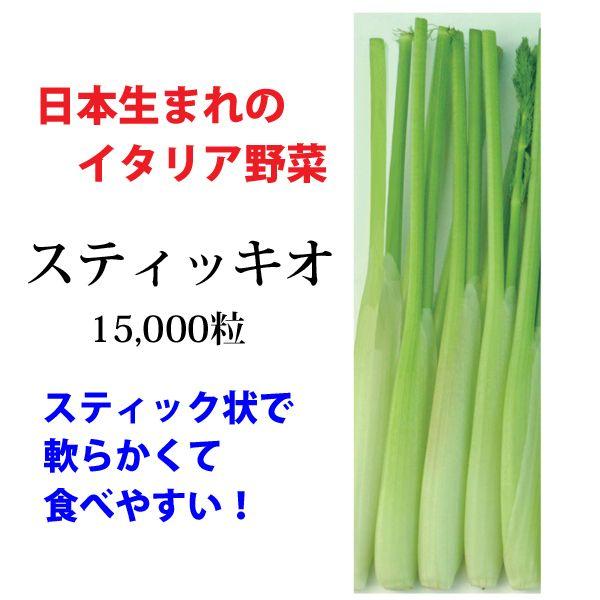 野菜の種/種子 スティッキオ・イタリア野菜 15,000粒 (大袋