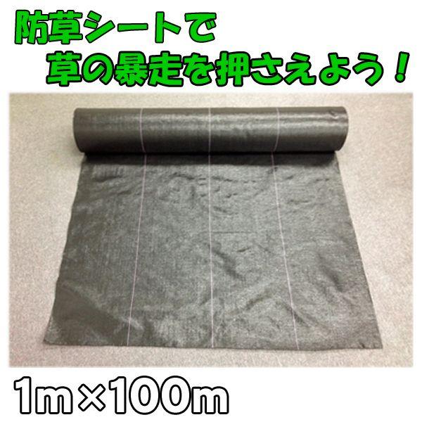 防草シート　100M 防草シート 100m（幅100cm） 農業資材 : ベジタブルガーデン ハラダ