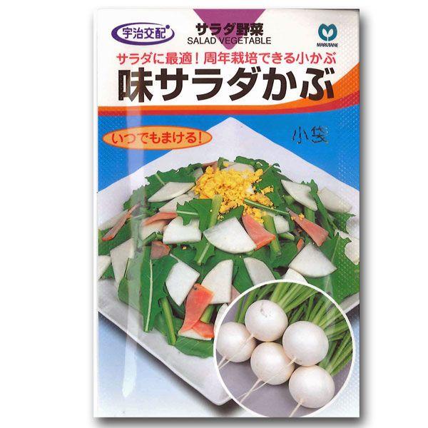 ؂̎/q@T_ԁ@2.3ml@i[֔j