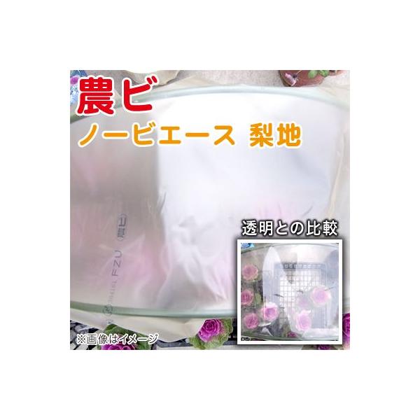 農ビ ノービエース 梨地 厚さ0.1mm×幅300cm×長さ5m 農業資材 :vg01768:ベジタブルガーデン ハラダ - 通販 - Yahoo!ショッピング 農ビ ノービエース 梨地 厚さ0.1mm×幅300cm×長さ5m 農業資材 :vg01768:ベジタブルガーデン ハラダ - 通販 - Yahoo!ショッピング