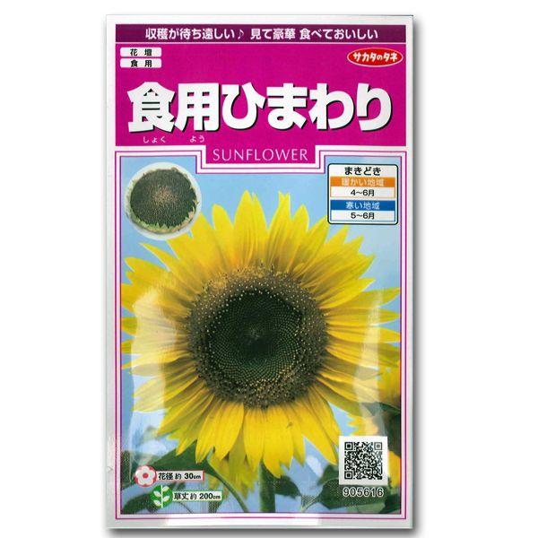 花の種 食用ひまわり 15粒（メール便発送） : ベジタブルガーデン